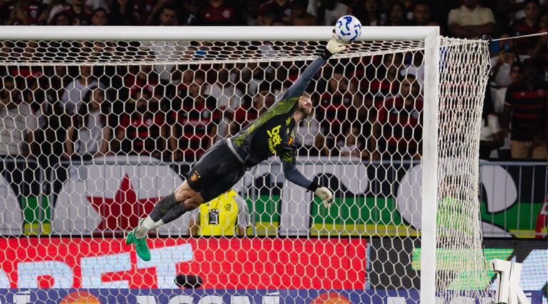 A partida é atrasada da 12ª rodada da Série A. Foto: Paulo Paiva/Sport Club do Recife.