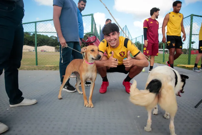 Sport lança projeto Meu AUmigo Rubro-Negro para incentivar a adoção responsável de animais